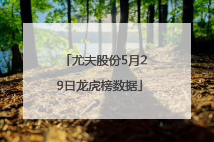 尤夫股份5月29日龙虎榜数据