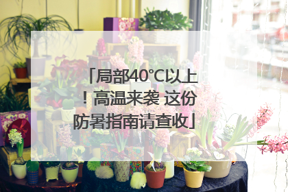 局部40℃以上！高温来袭 这份防暑指南请查收