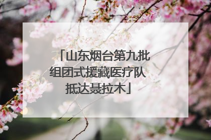 山东烟台第九批组团式援藏医疗队抵达聂拉木