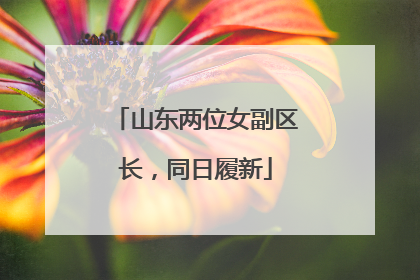 山东两位女副区长，同日履新