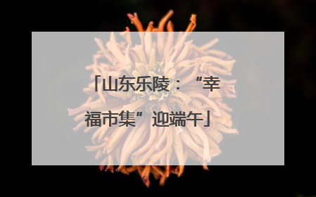 山东乐陵：“幸福市集”迎端午