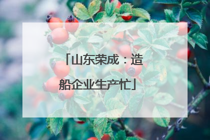 山东荣成：造船企业生产忙