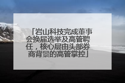 岩山科技完成董事会换届选举及高管聘任，核心层由头部券商背景的高管掌控