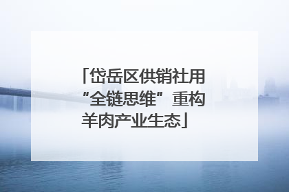 岱岳区供销社用“全链思维”重构羊肉产业生态