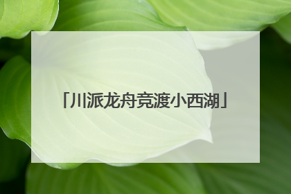 川派龙舟竞渡小西湖