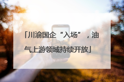 川渝国企“入场”，油气上游领域持续开放