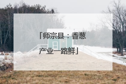 师宗县：香葱产业一路鲜