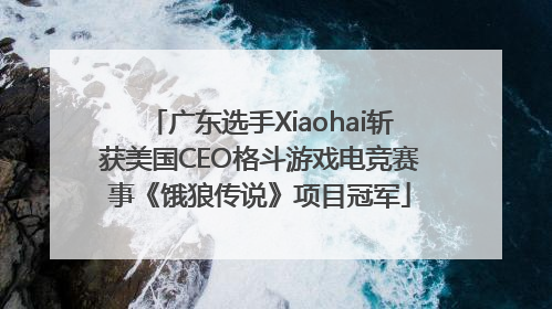 广东选手Xiaohai斩获美国CEO格斗游戏电竞赛事《饿狼传说》项目冠军