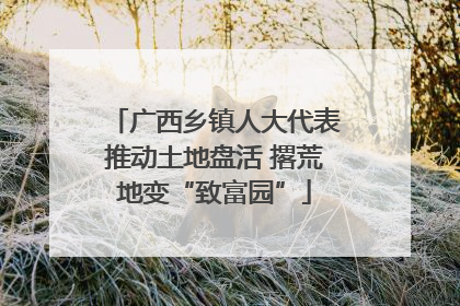 广西乡镇人大代表推动土地盘活 撂荒地变“致富园”