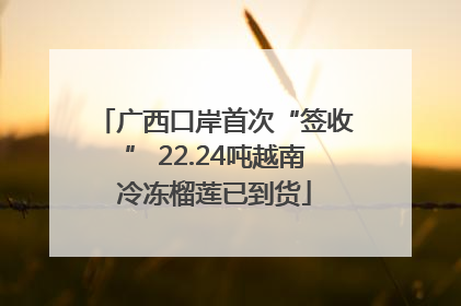 广西口岸首次“签收” 22.24吨越南冷冻榴莲已到货