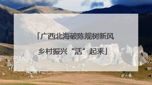 广西北海破陈规树新风 乡村振兴“活”起来