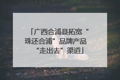广西合浦县拓宽“珠还合浦”品牌产品“走出去”渠道
