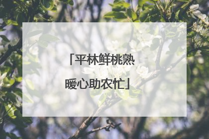 平林鲜桃熟 暖心助农忙