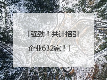 强劲！共计招引企业632家！