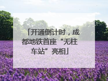 开通倒计时，成都地铁首座“无柱车站”亮相