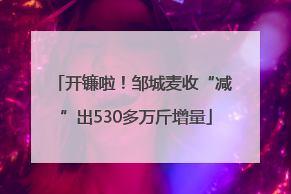 开镰啦！邹城麦收“减”出530多万斤增量