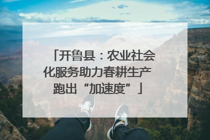 开鲁县：农业社会化服务助力春耕生产跑出“加速度”