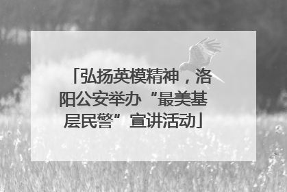 弘扬英模精神，洛阳公安举办“最美基层民警”宣讲活动