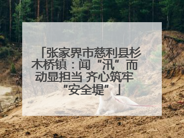 张家界市慈利县杉木桥镇：闻“汛”而动显担当 齐心筑牢“安全堤”
