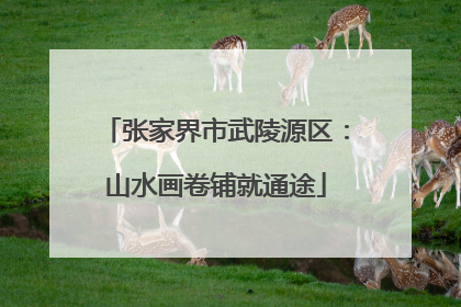 张家界市武陵源区：山水画卷铺就通途