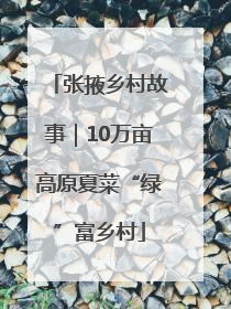 张掖乡村故事｜10万亩高原夏菜“绿”富乡村