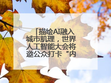 描绘AI融入城市肌理，世界人工智能大会将邀公众打卡“内环中环外环”