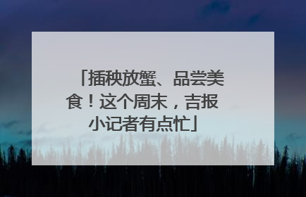 插秧放蟹、品尝美食！这个周末，吉报小记者有点忙