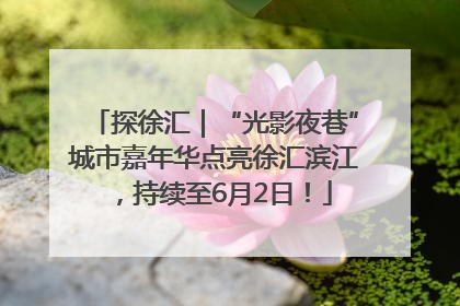 探徐汇｜“光影夜巷”城市嘉年华点亮徐汇滨江，持续至6月2日！