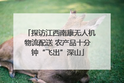 探访江西南康无人机物流配送 农产品十分钟“飞出”深山