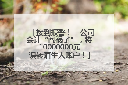 接到报警！一公司会计“闯祸了”，将10000000元误转陌生人账户！
