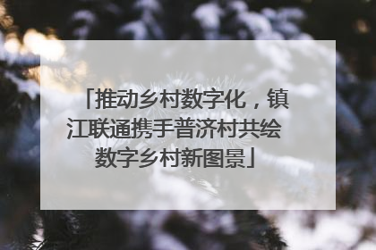 推动乡村数字化，镇江联通携手普济村共绘数字乡村新图景