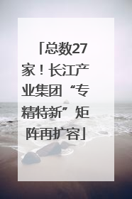 总数27家！长江产业集团“专精特新”矩阵再扩容
