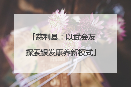 慈利县：以武会友 探索银发康养新模式