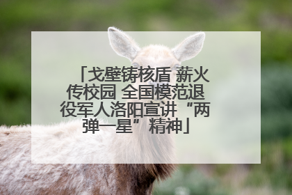 戈壁铸核盾 薪火传校园 全国模范退役军人洛阳宣讲“两弹一星”精神