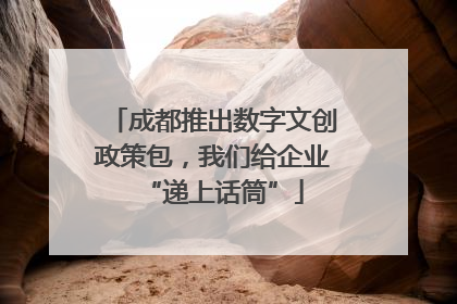 成都推出数字文创政策包，我们给企业“递上话筒”