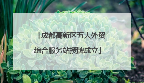 成都高新区五大外贸综合服务站授牌成立