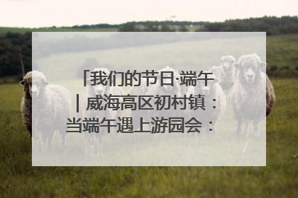 我们的节日·端午｜威海高区初村镇：当端午遇上游园会：来一场“粽”享欢乐的趣味冒险！