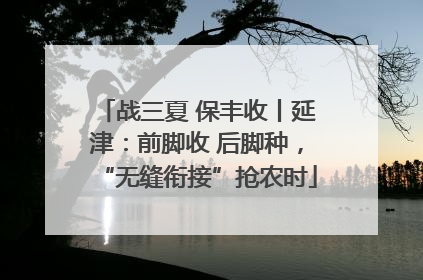 战三夏 保丰收丨延津：前脚收 后脚种，“无缝衔接”抢农时