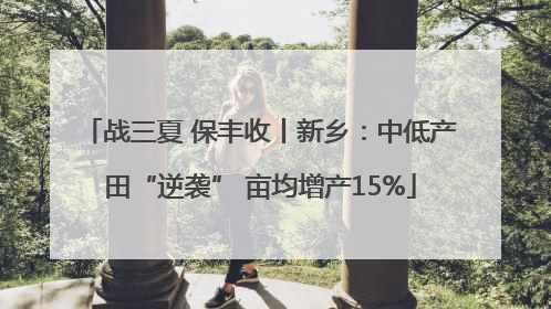 战三夏 保丰收丨新乡：中低产田“逆袭” 亩均增产15%
