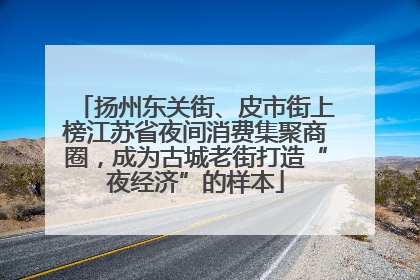 扬州东关街、皮市街上榜江苏省夜间消费集聚商圈，成为古城老街打造“夜经济”的样本