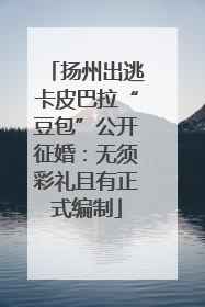 扬州出逃卡皮巴拉“豆包”公开征婚：无须彩礼且有正式编制