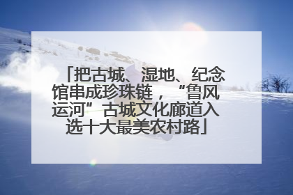 把古城、湿地、纪念馆串成珍珠链，“鲁风运河”古城文化廊道入选十大最美农村路
