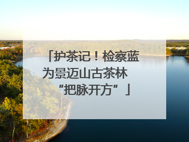 护茶记！检察蓝为景迈山古茶林 “把脉开方”