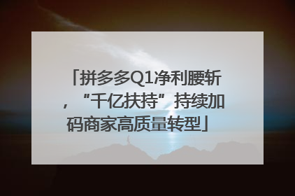 拼多多Q1净利腰斩，“千亿扶持”持续加码商家高质量转型