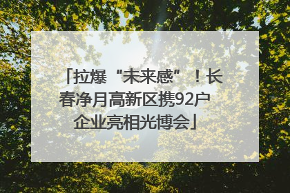 拉爆“未来感”！长春净月高新区携92户企业亮相光博会