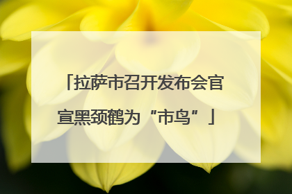 拉萨市召开发布会官宣黑颈鹤为“市鸟”