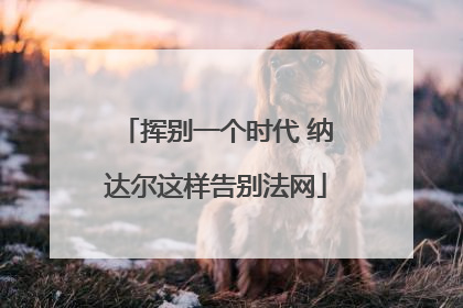 挥别一个时代 纳达尔这样告别法网