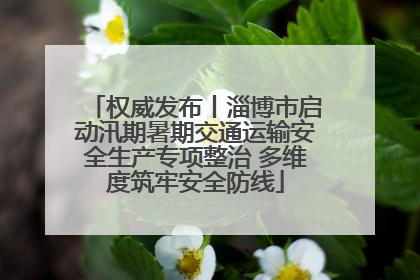 权威发布丨淄博市启动汛期暑期交通运输安全生产专项整治 多维度筑牢安全防线