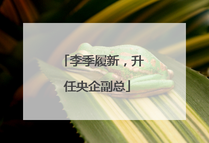 李季履新，升任央企副总