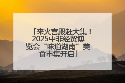 来火宫殿赶大集！2025中非经贸博览会“味道湖南”美食市集开启